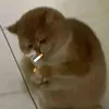 mj46387