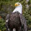 .uegruev7