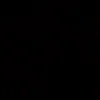 shanini_006