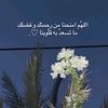 user8107320462548