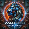 wahech.electro