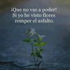 maritza4593