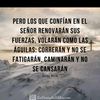 gordito1157