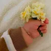 khok.amir