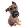justin_1884037