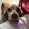 stefy.2048