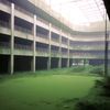 dreamcore_lonelymood