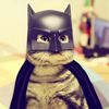 TrendyCatMan