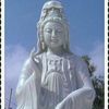 user9220510731444