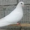 user7560380481712