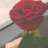 shaima5274
