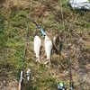 trongfishing2009