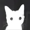 hxnnes_prv