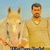 chwaqar36gb
