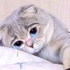 suabien129