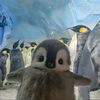 penguen_nazzo