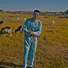 mouhamedhamouda523