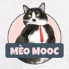 Gia Đình Mèo Mooc