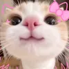 enileca_mia