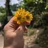 josna.akhter84