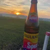 mtb_kalle12