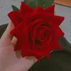 yuipjbshsbdbd