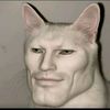 aliefdiefwan