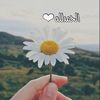 _fa_alshehri