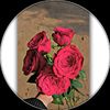 md.munna8626