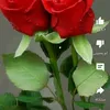 user9732256124906