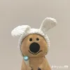 amie_261