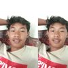 dinaa8849