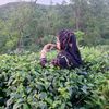 ruma.akther5932