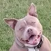 chris.topher479