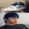 anabillut_cintamiayamm
