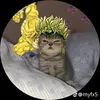 hello_byebye23