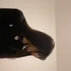 case_call
