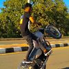 8385mahmoud