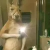 constantinocosta92
