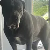 rileyhitch74