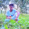 sujon17019