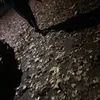 bobiskffv1m