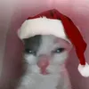 rip_rhya