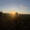 lyra_248