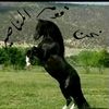 salimm.islamm75