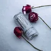forbidden816