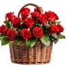fleur.57734verte