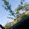 allxs012