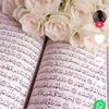 zainabagengo553