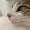 thatamiranda098